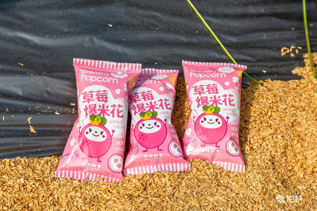 桃園採草莓親子一日遊|草本誠食草莓X落雨松秘境,順遊漁港藻礁 @愛伯特