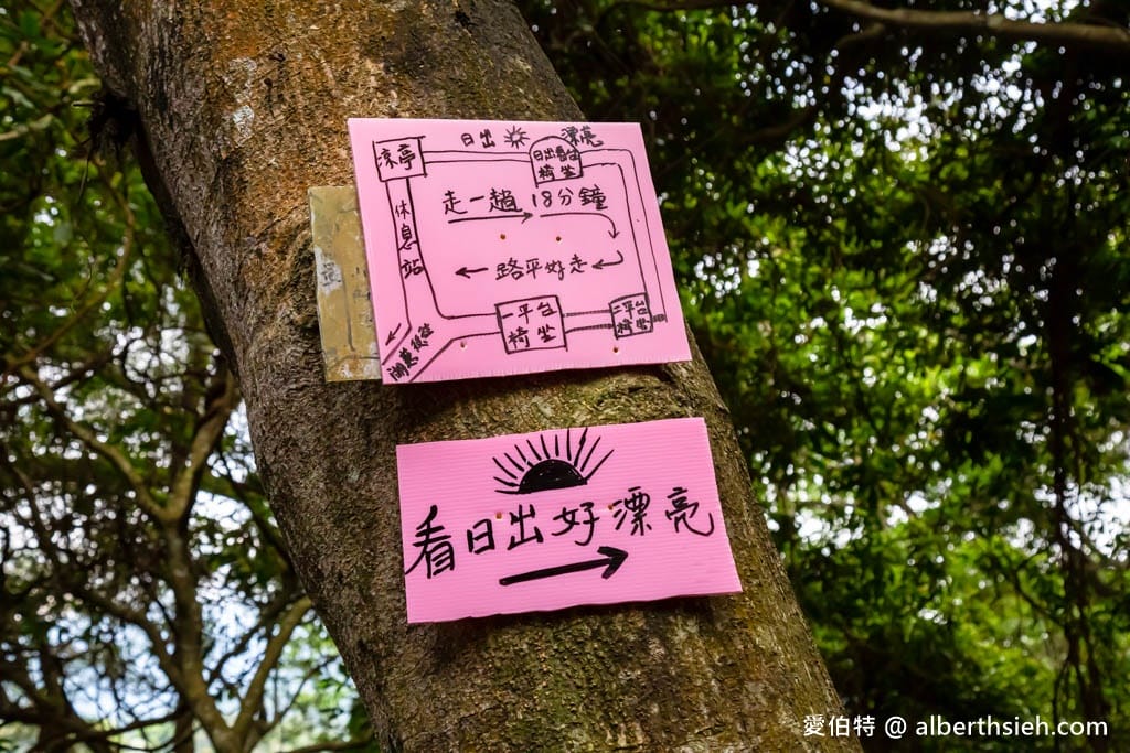 桃園親子步道推薦｜大溪百吉林蔭步道，綠蔭環繞平緩好走