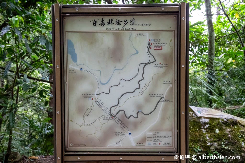 桃園親子步道推薦｜大溪百吉林蔭步道，綠蔭環繞平緩好走