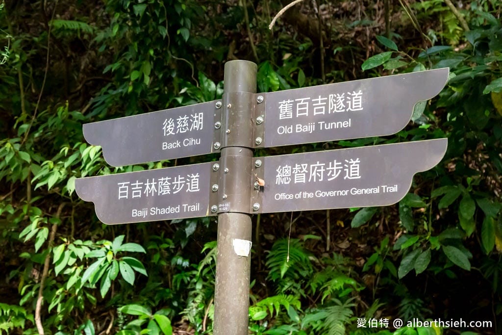 桃園親子步道推薦｜大溪百吉林蔭步道，綠蔭環繞平緩好走