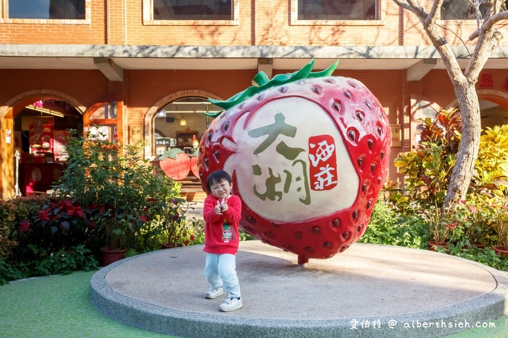 苗栗台三線景點一日遊｜大湖卓蘭採草莓景觀咖啡廳伴手禮通通有
