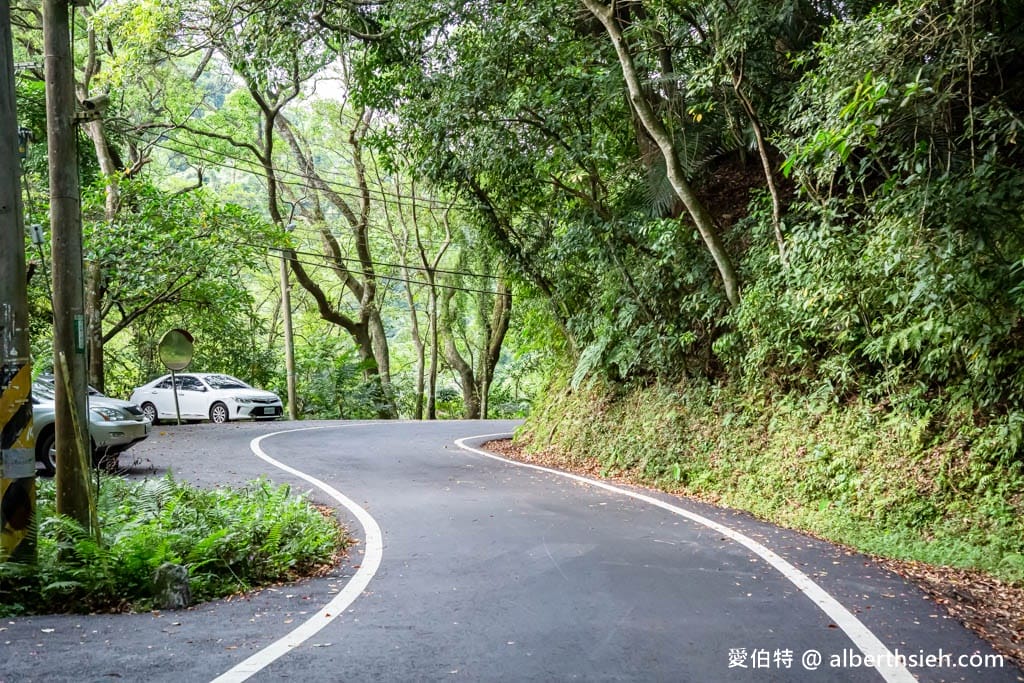 桃園親子步道推薦｜大溪百吉林蔭步道，綠蔭環繞平緩好走
