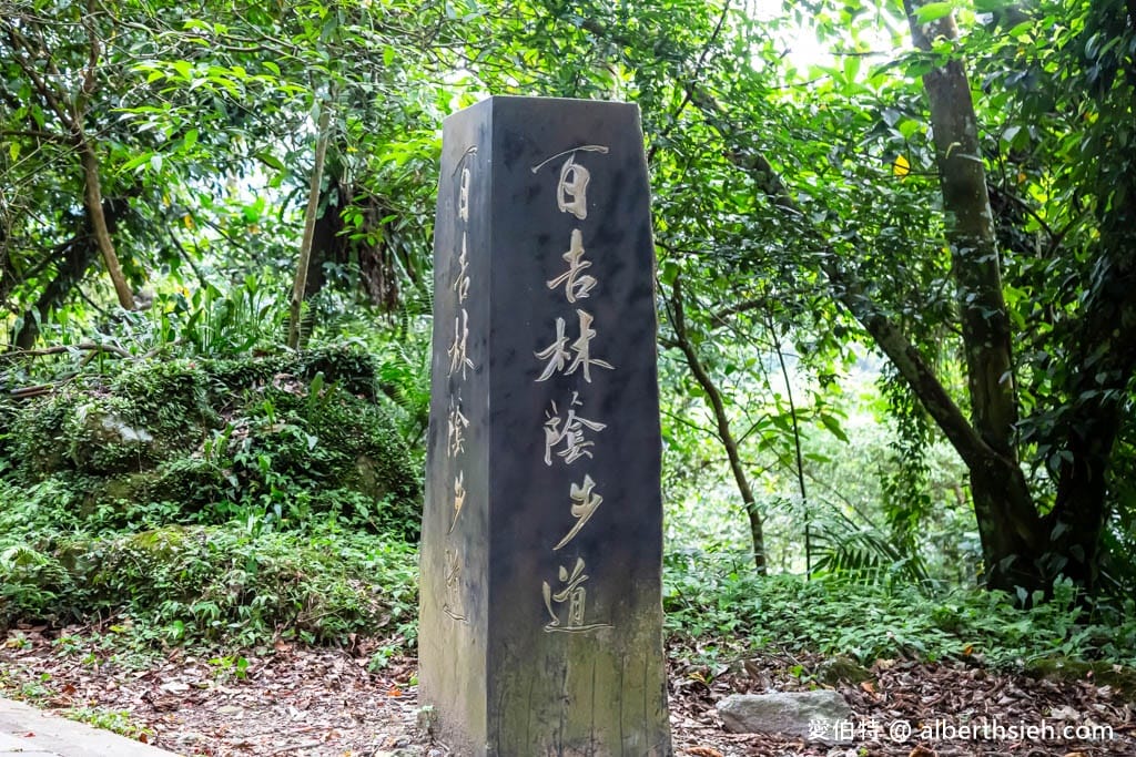 桃園親子步道推薦｜大溪百吉林蔭步道，綠蔭環繞平緩好走