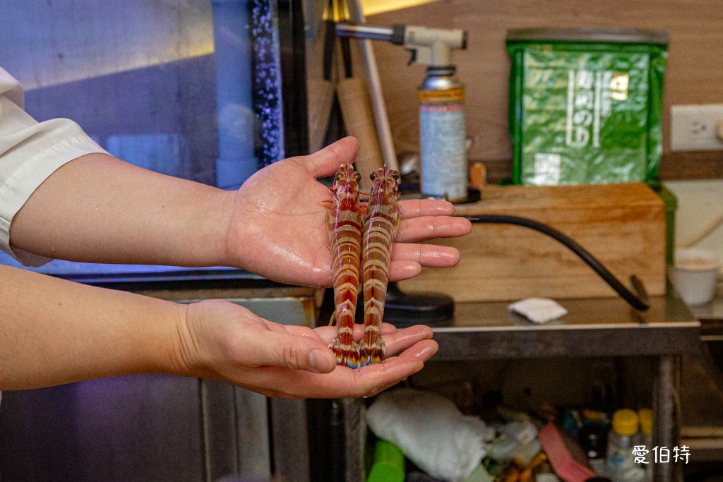 桃園本壽司無菜單料理｜最鮮19道料理飽到天靈蓋，生魚片鮮甜爆表 @愛伯特