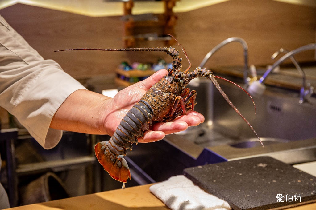 桃園本壽司無菜單料理|最鮮19道料理飽到天靈蓋,生魚片鮮甜爆表 @愛伯特
