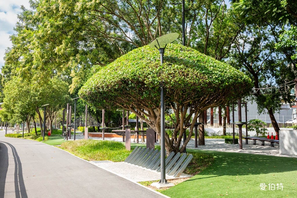 桃園親子景點｜南崁溪第一河濱公園，跳跳雲彈跳床、森林挑戰區