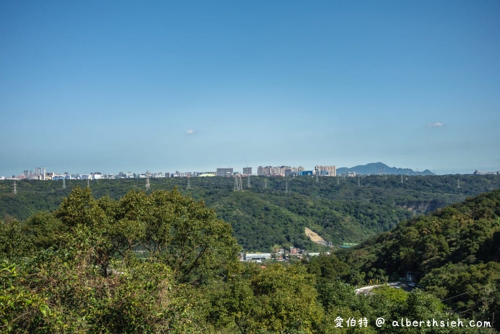 桃園龜山元德寶宮櫻花｜八重櫻盛開超美，居高臨下風景優美