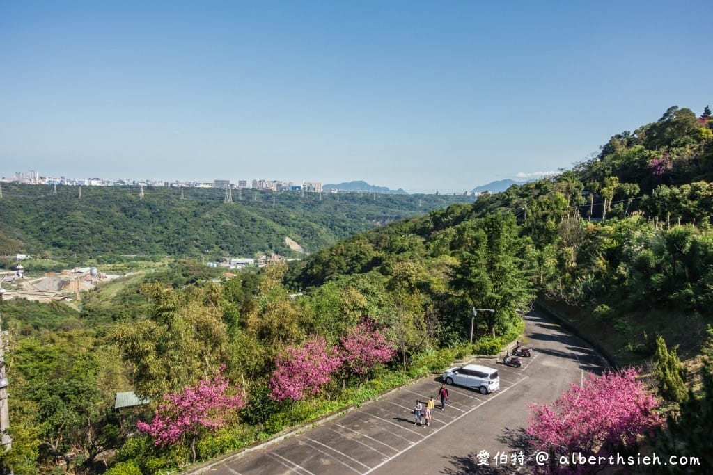 桃園龜山元德寶宮櫻花｜八重櫻盛開超美，居高臨下風景優美