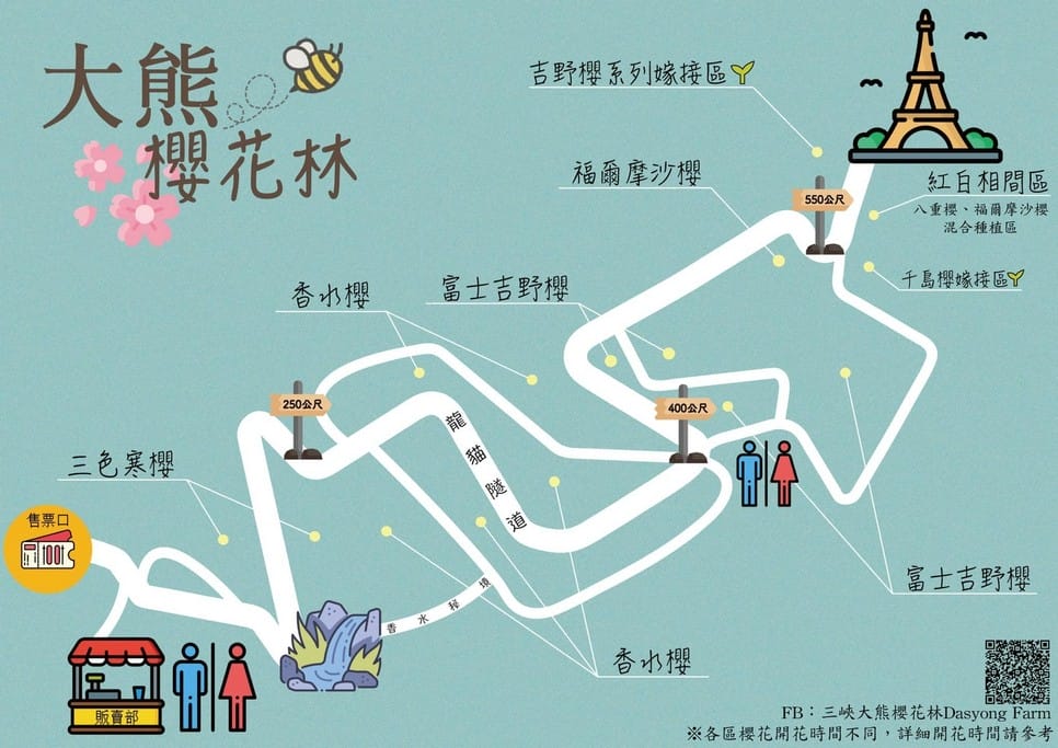 2025三峽大熊櫻花林｜花況，交通方式，門票費用