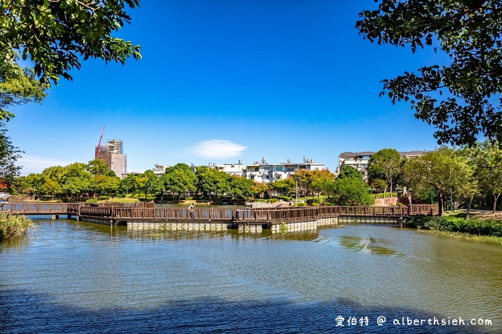 桃園龍潭大池｜斜張式光雕吊橋、南天宮