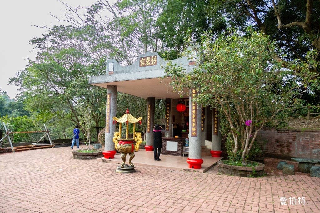 東勢林場遊樂區｜體能訓練區，溫泉泡腳池，森林步道，門票體能訓練區