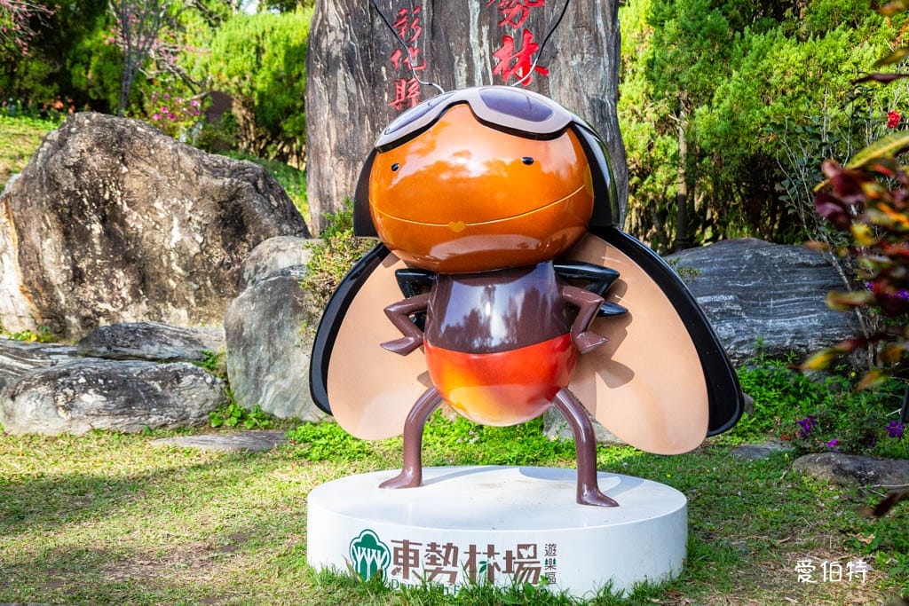 東勢林場遊樂區｜體能訓練區，溫泉泡腳池，森林步道，門票體能訓練區