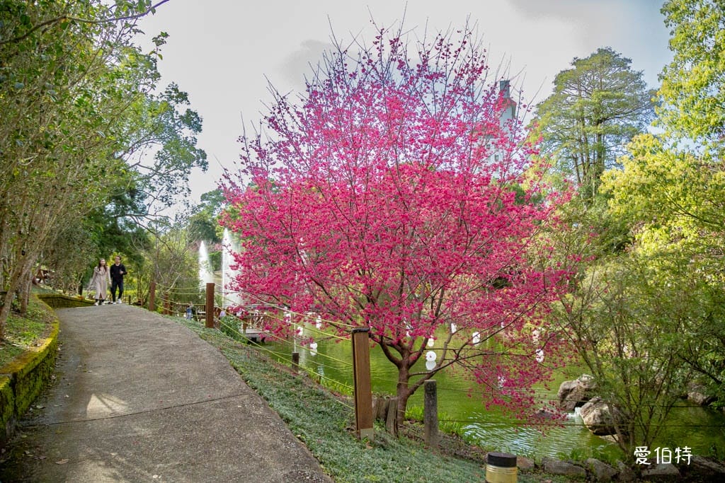東勢林場遊樂區｜體能訓練區，溫泉泡腳池，森林步道，門票體能訓練區