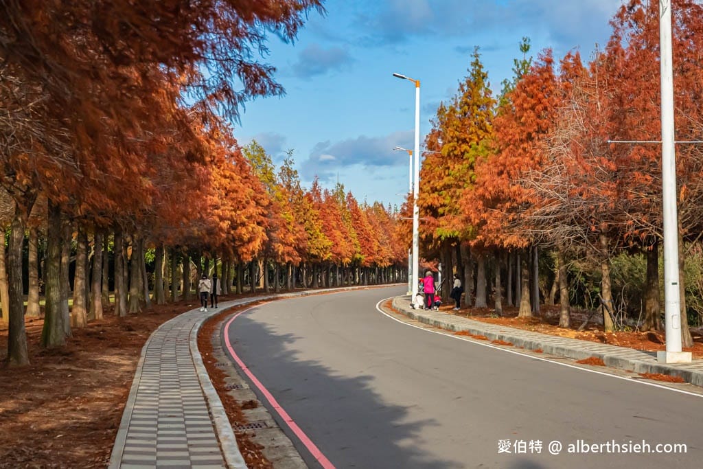 台中后里景點一日遊|九條路線,網美、親子、賞花、落羽松 - 第6張圖 台中后里景點一日遊|九條路線,網美、親子、賞花、落羽松