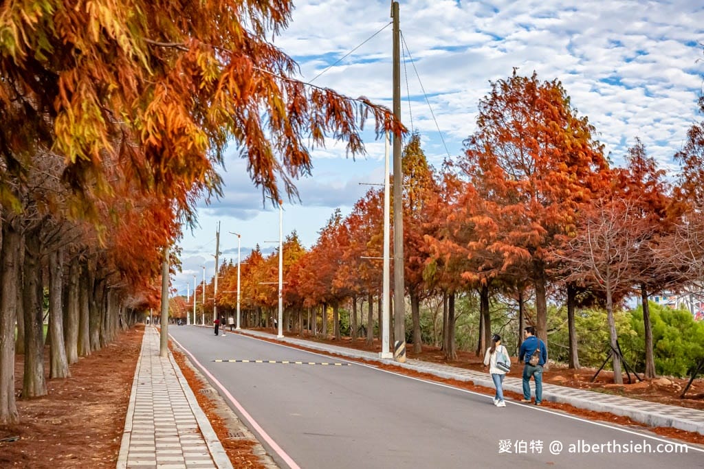台中后里景點一日遊|九條路線,網美、親子、賞花、落羽松 - 第7張圖 台中后里景點一日遊|九條路線,網美、親子、賞花、落羽松