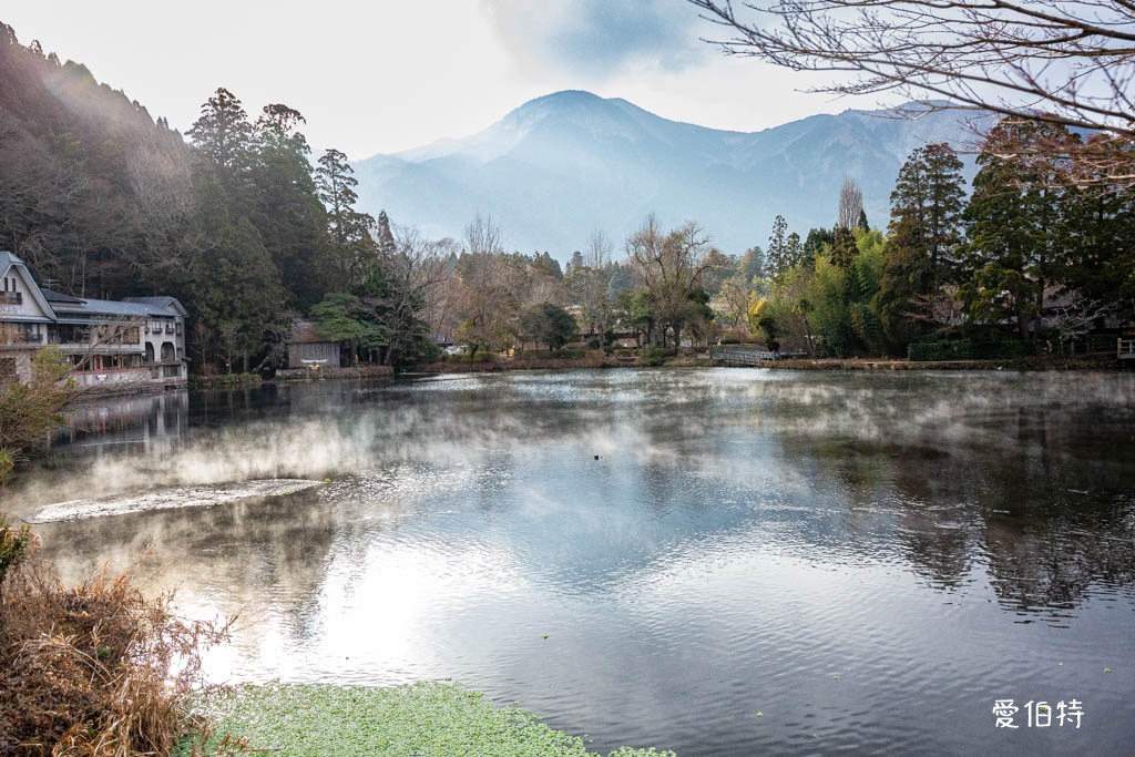由布院必去景點｜金鱗湖，朝霧絕美，溫泉住宿，美食推薦 @愛伯特