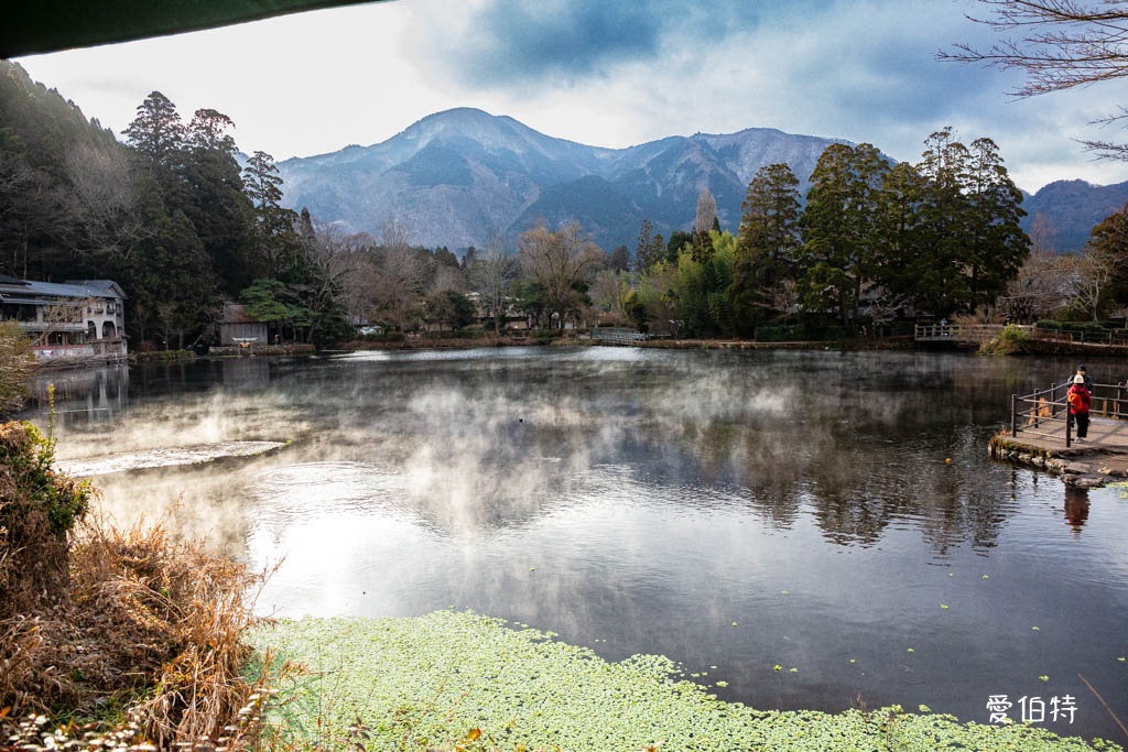 由布院必去景點｜金鱗湖，朝霧絕美，溫泉住宿，美食推薦 @愛伯特