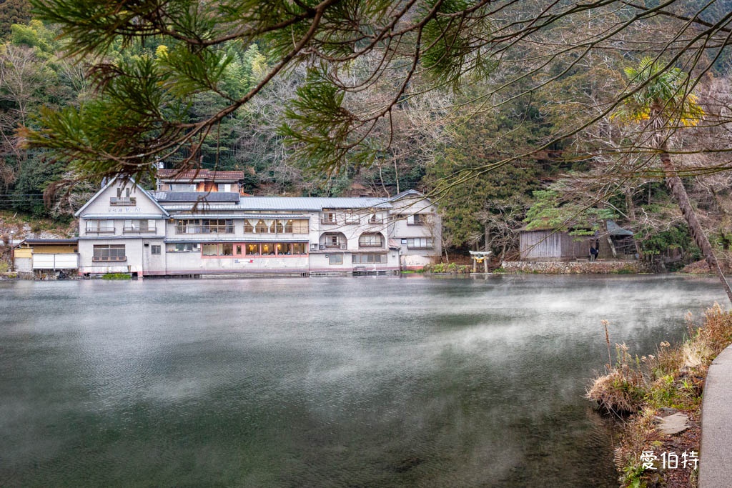 由布院必去景點｜金鱗湖，朝霧絕美，溫泉住宿，美食推薦 @愛伯特