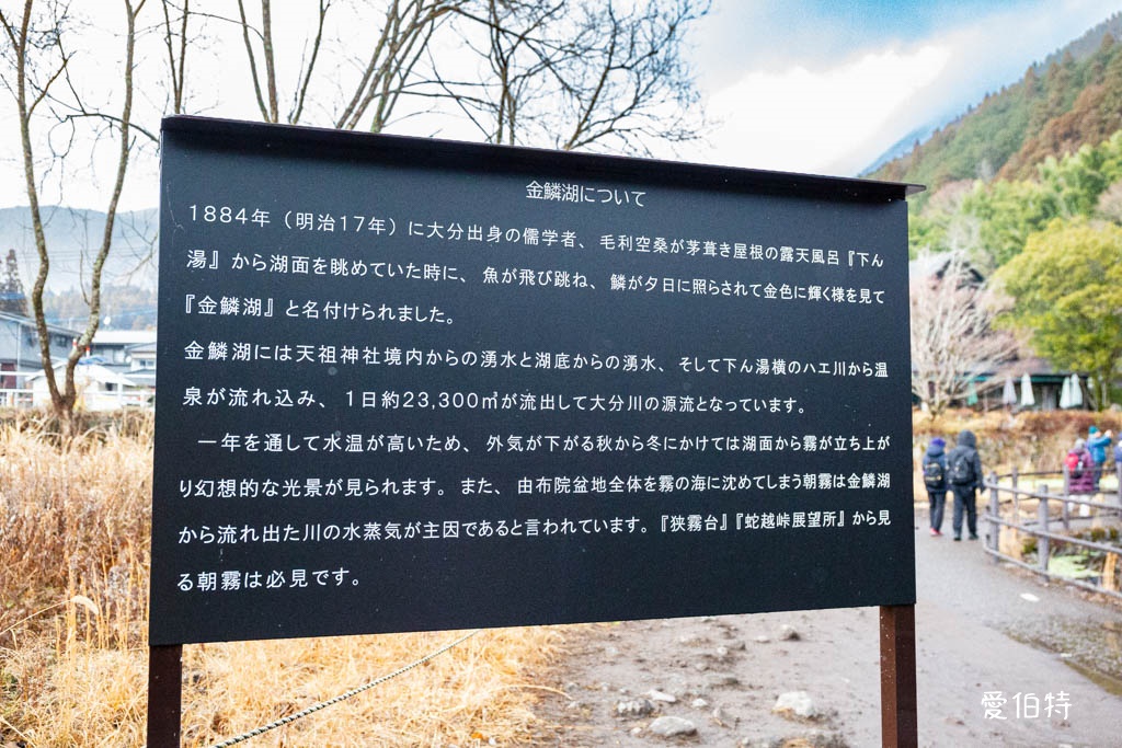 由布院必去景點｜金鱗湖，朝霧絕美，溫泉住宿，美食推薦 @愛伯特