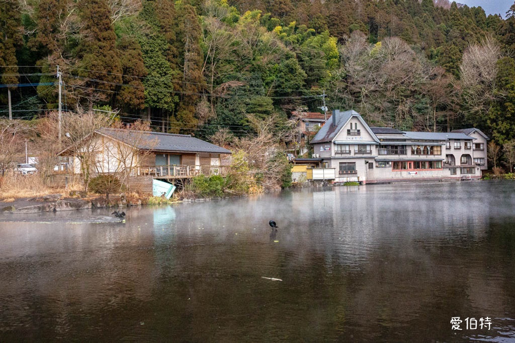 由布院必去景點｜金鱗湖，朝霧絕美，溫泉住宿，美食推薦 @愛伯特