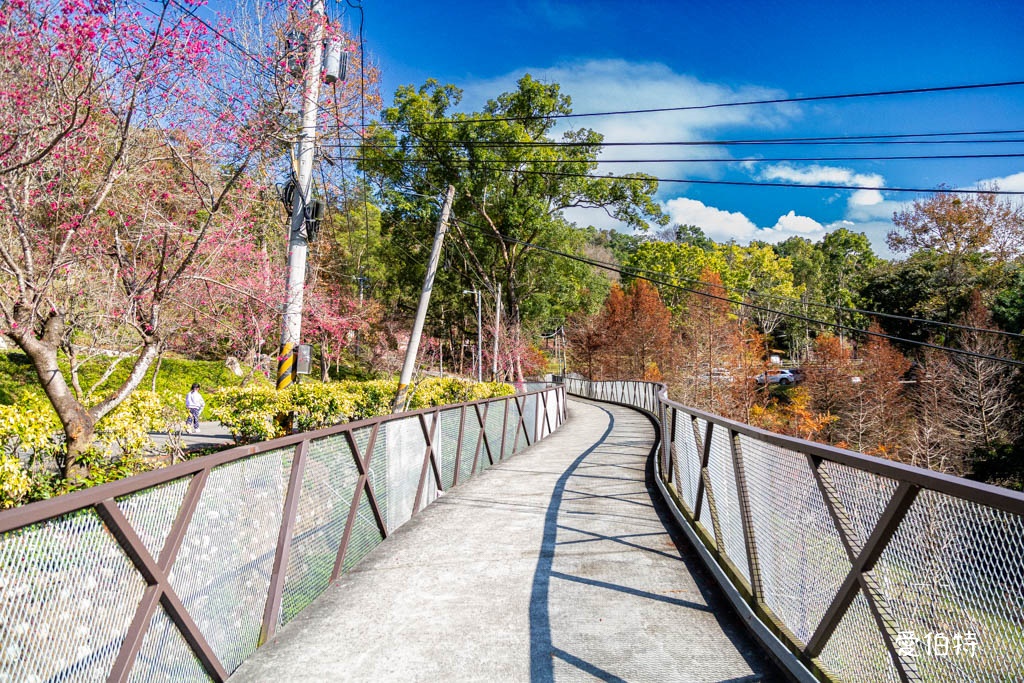 東勢林場遊樂區｜體能訓練區，溫泉泡腳池，森林步道，門票體能訓練區 @愛伯特