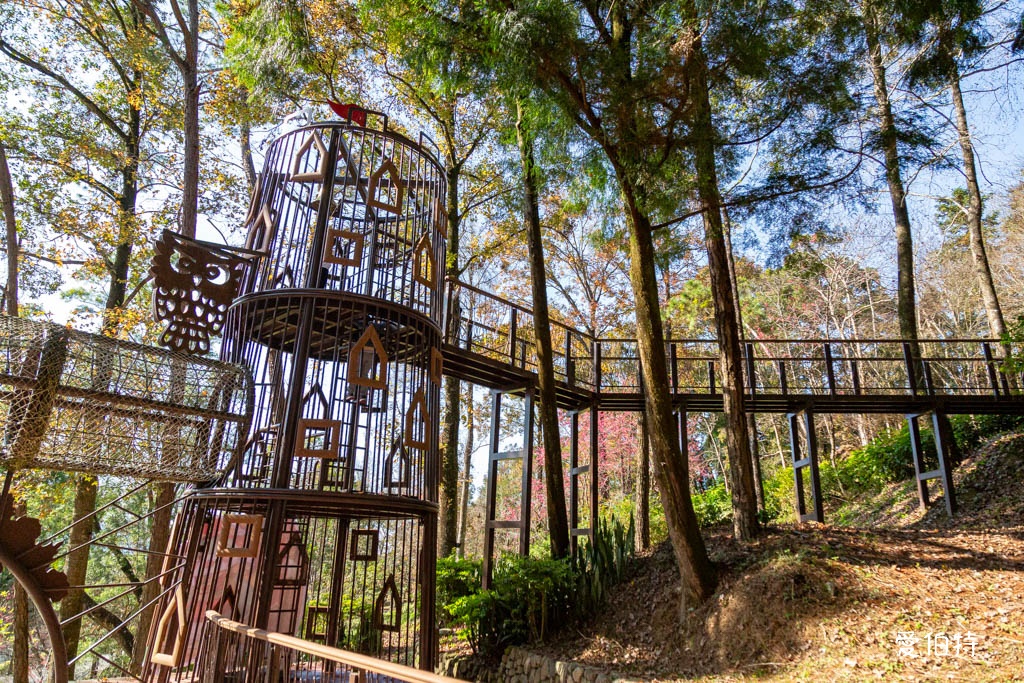 東勢林場遊樂區|體能訓練區,溫泉泡腳池,森林步道,門票體能訓練區 @愛伯特