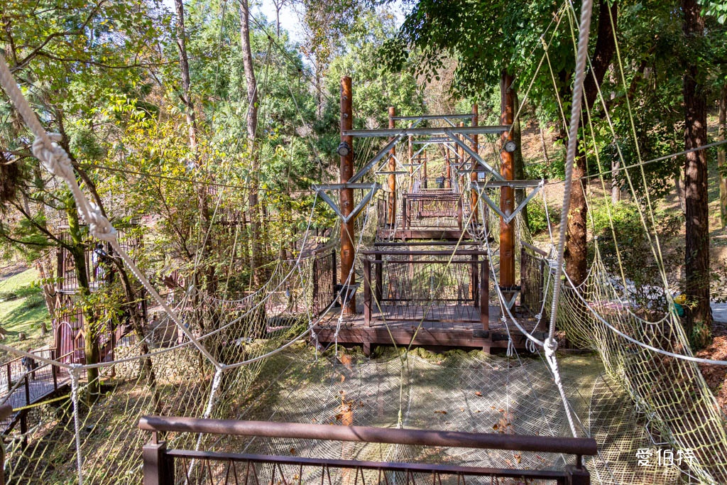 東勢林場遊樂區|體能訓練區,溫泉泡腳池,森林步道,門票體能訓練區 @愛伯特