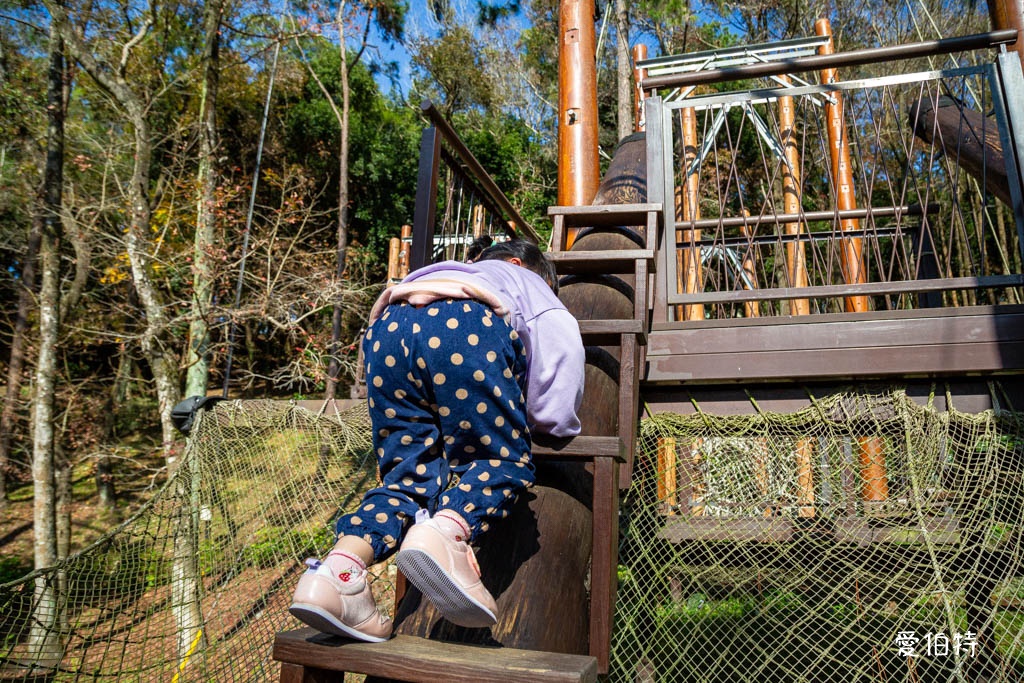 東勢林場遊樂區|體能訓練區,溫泉泡腳池,森林步道,門票體能訓練區 @愛伯特