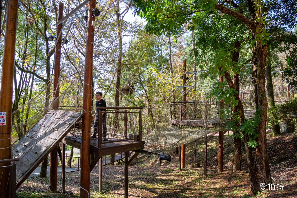 東勢林場遊樂區|體能訓練區,溫泉泡腳池,森林步道,門票體能訓練區 @愛伯特