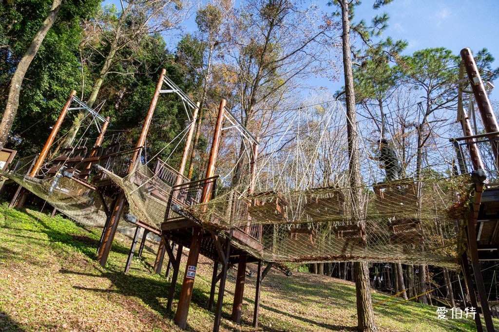 東勢林場遊樂區｜體能訓練區，溫泉泡腳池，森林步道，門票體能訓練區 @愛伯特