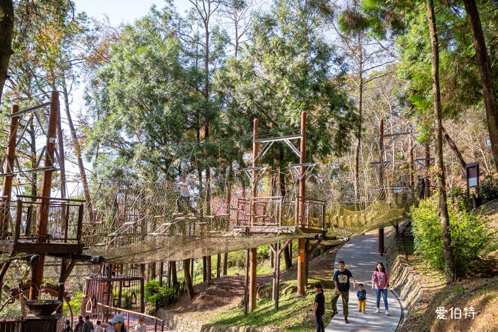 東勢林場遊樂區｜體能訓練區，溫泉泡腳池，森林步道，門票體能訓練區 @愛伯特
