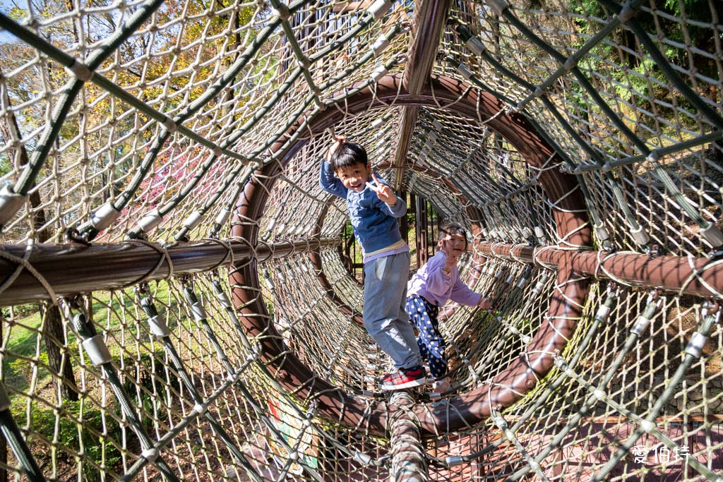 東勢林場遊樂區|體能訓練區,溫泉泡腳池,森林步道,門票體能訓練區 @愛伯特