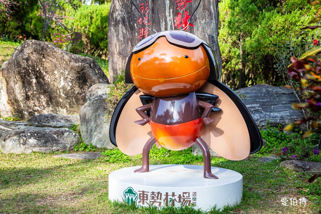 東勢林場遊樂區｜體能訓練區，溫泉泡腳池，森林步道，門票體能訓練區 @愛伯特