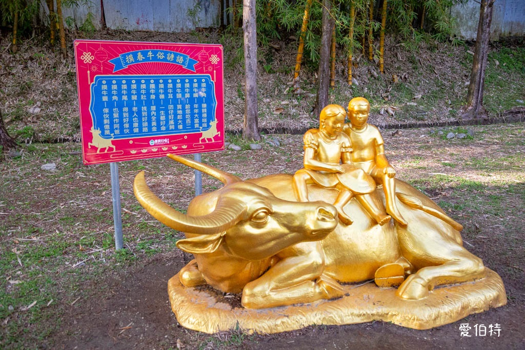 東勢林場遊樂區|體能訓練區,溫泉泡腳池,森林步道,門票體能訓練區 @愛伯特