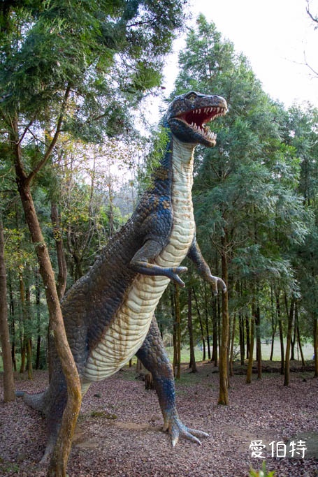 東勢林場遊樂區|體能訓練區,溫泉泡腳池,森林步道,門票體能訓練區 @愛伯特