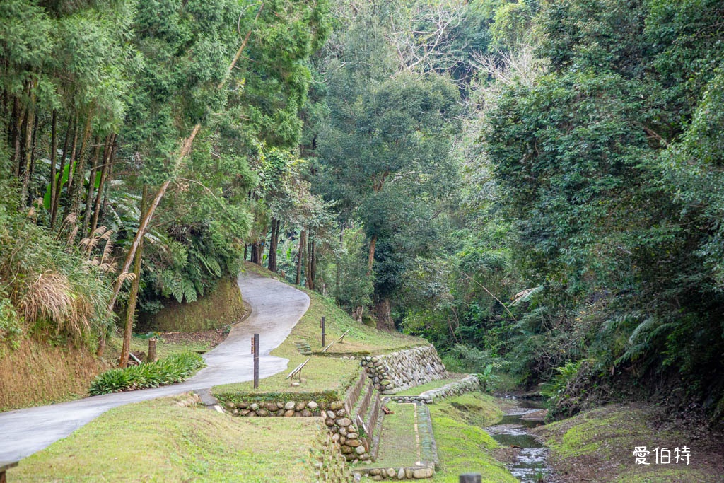 東勢林場遊樂區|體能訓練區,溫泉泡腳池,森林步道,門票體能訓練區 @愛伯特