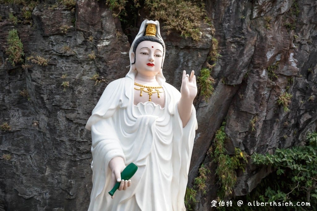 宜蘭龜山島登島賞鯨推薦｜優惠票、牛奶湖、龜山八景、島孤人不孤