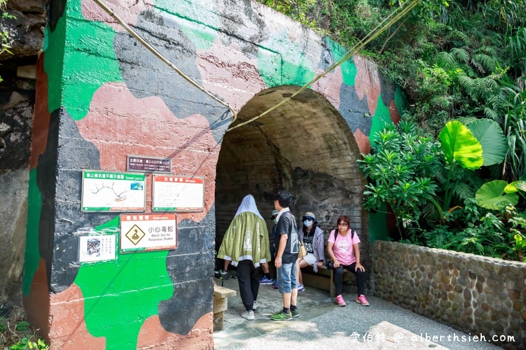 宜蘭龜山島登島賞鯨推薦｜優惠票、牛奶湖、龜山八景、島孤人不孤