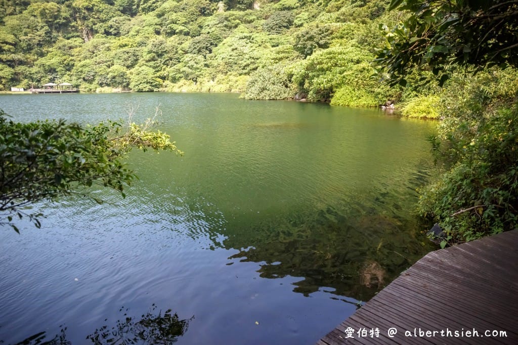 宜蘭龜山島登島賞鯨推薦｜優惠票、牛奶湖、龜山八景、島孤人不孤