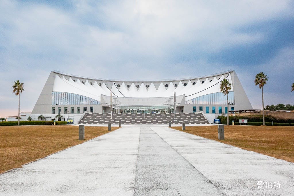 福岡親子必去｜海之中道水族館交通，海豚，海獅，企鵝表演必看
