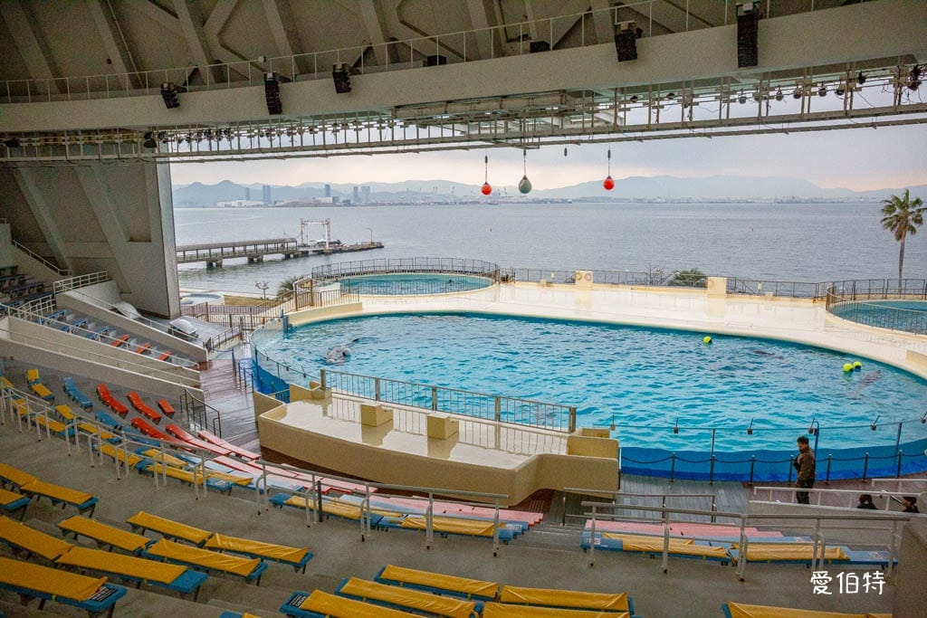 福岡親子必去｜海之中道水族館交通，海豚，海獅，企鵝表演必看