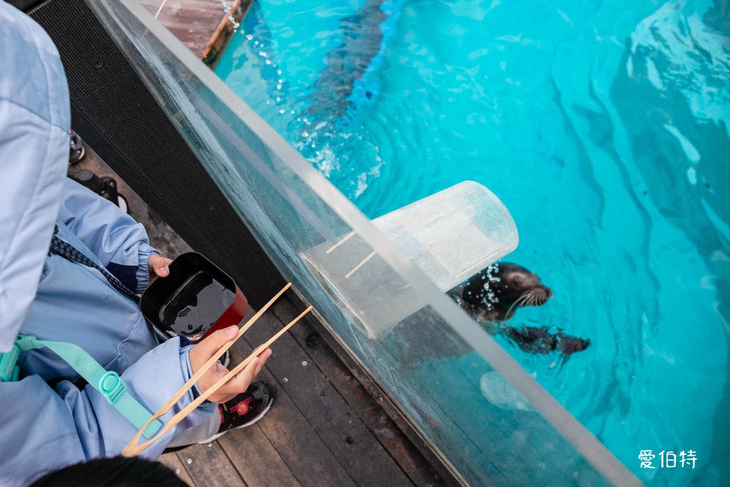 九州福岡水族館｜海洋世界海之中道，海豚，海獅，企鵝表演必看 @愛伯特