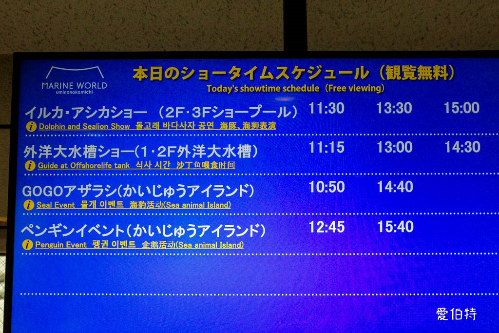 九州福岡水族館｜海洋世界海之中道，海豚，海獅，企鵝表演必看 @愛伯特