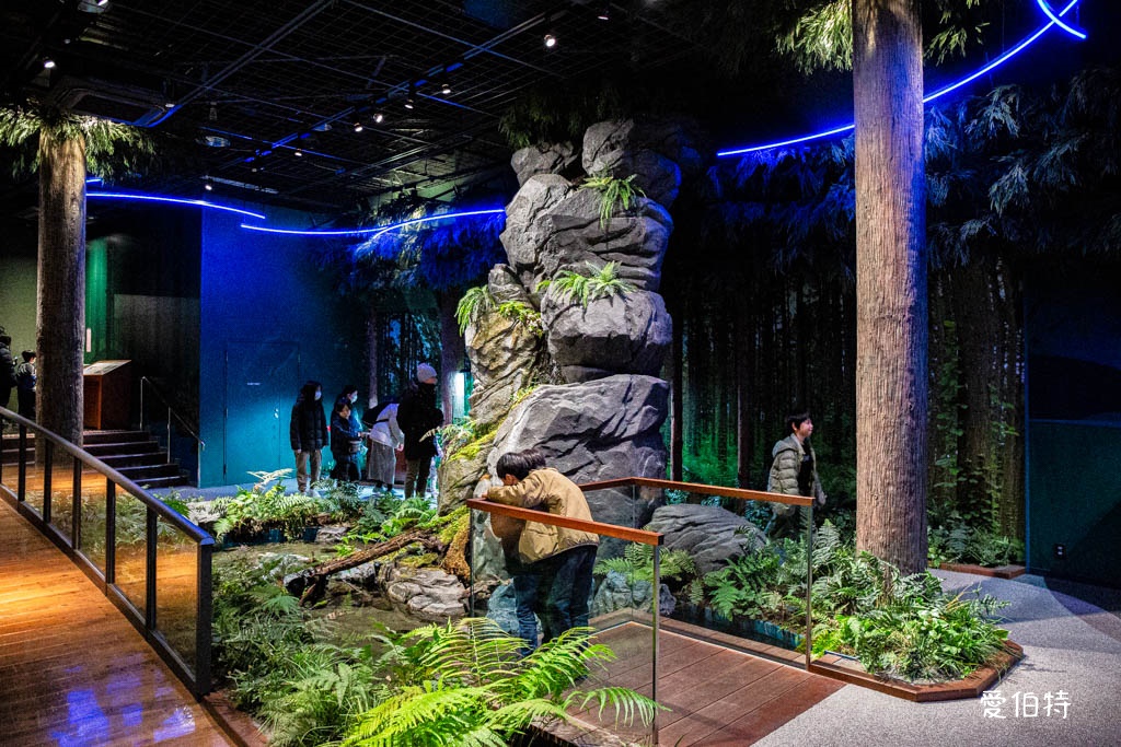 九州福岡水族館｜海洋世界海之中道，海豚，海獅，企鵝表演必看 @愛伯特