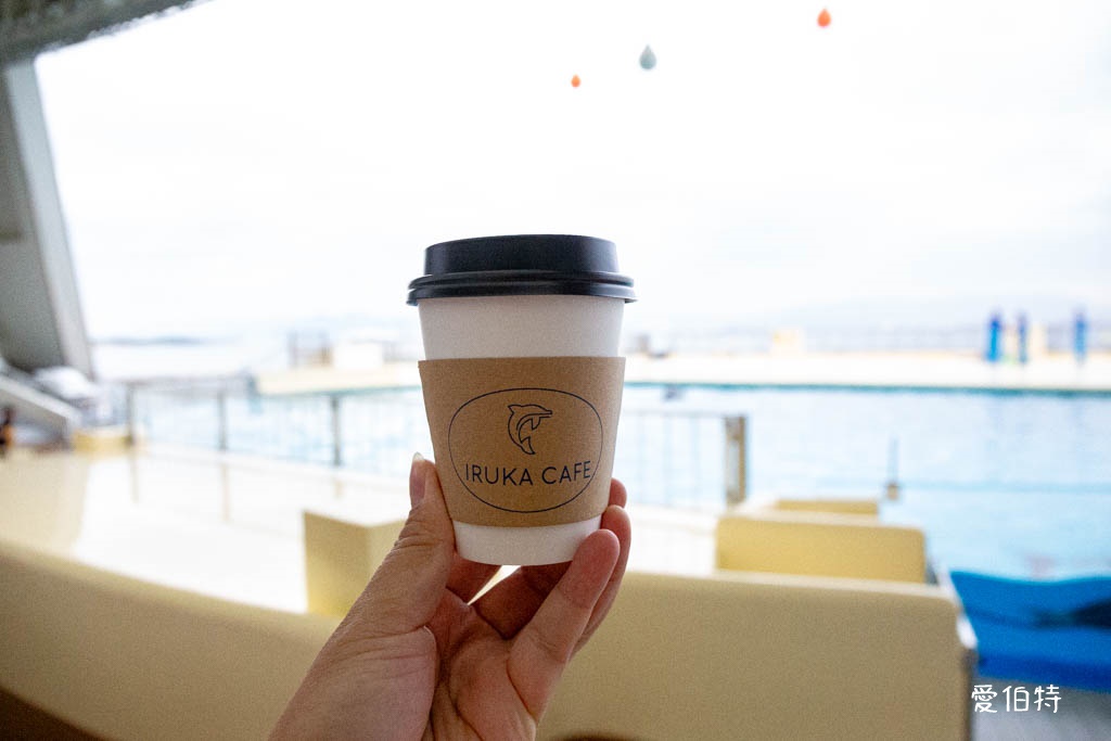 九州福岡水族館｜海洋世界海之中道，海豚，海獅，企鵝表演必看 @愛伯特