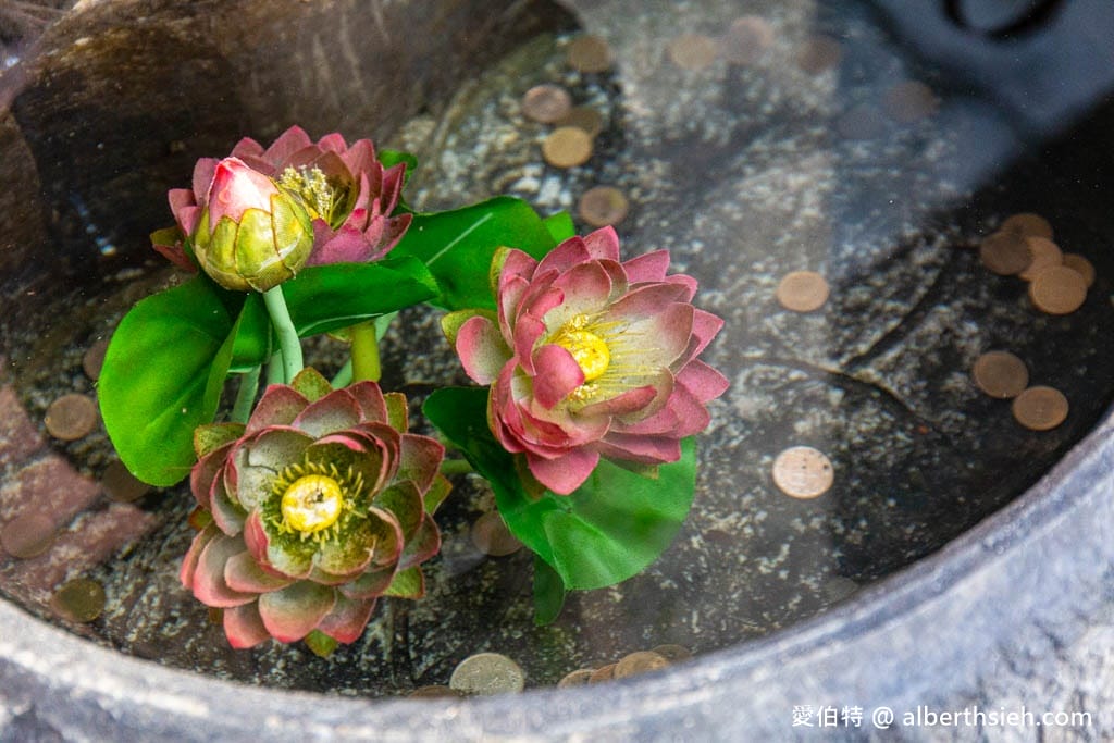 鳶山紅樓｜三峽無菜單合菜餐廳，高CP值超豪華景觀，家庭聚餐
