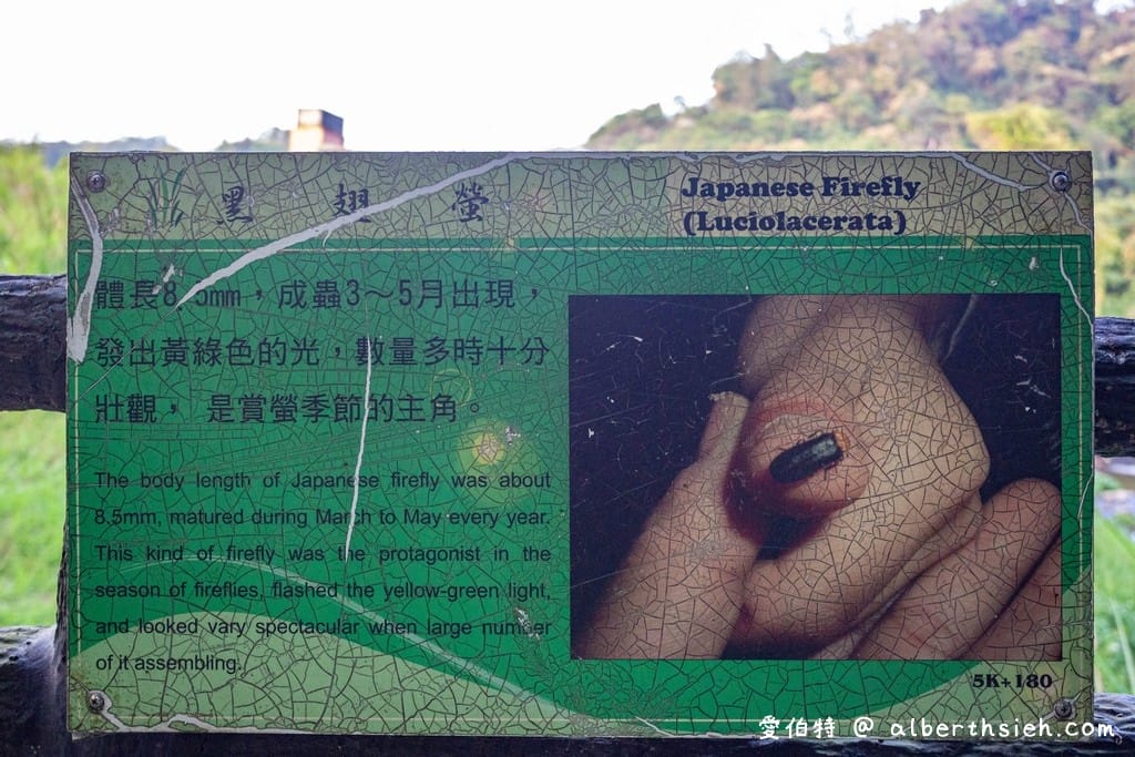 桃園螢火蟲｜百吉國小，水泥步道超方便行走的賞螢好去處