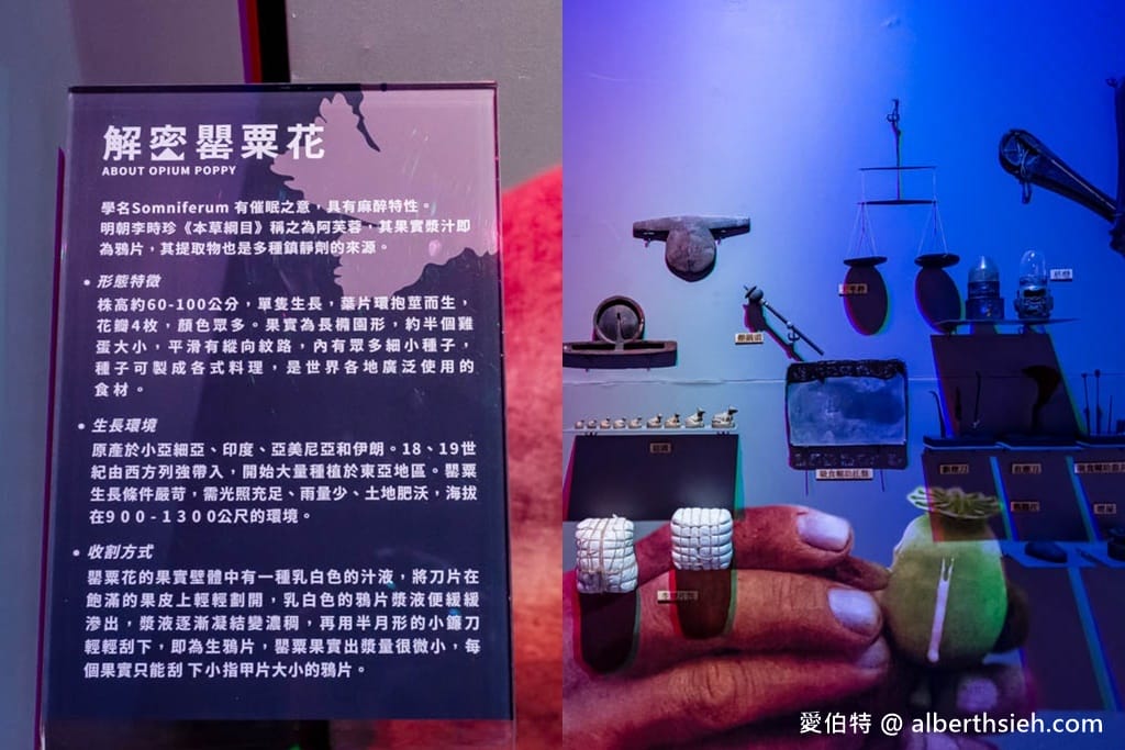 桃園龍岡景點推薦｜異域故事館，門票預約與異域泰緬孤軍歷史導覽