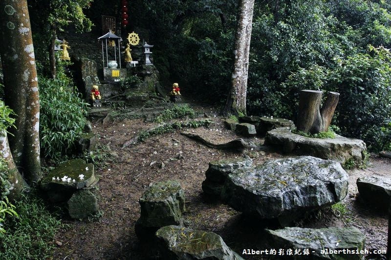 大艽芎古道｜桃園大溪賞桐花步道推薦，綠意盎然的石階古道