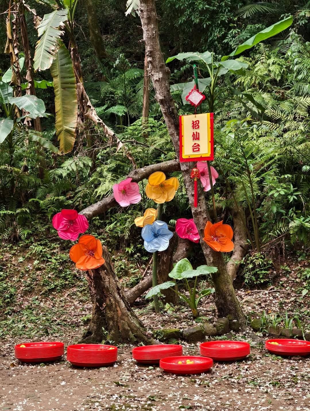 大艽芎古道｜桃園大溪賞桐花步道推薦，綠意盎然的石階古道